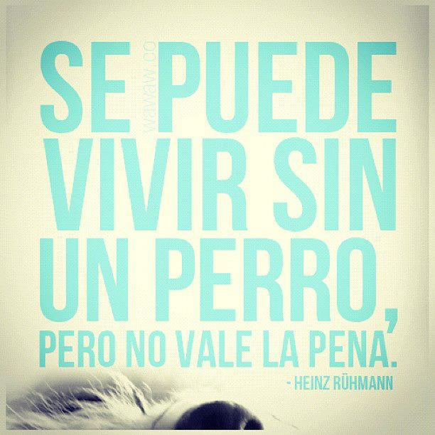 Se puede vivir sin un perro. Pero no vale la pena.