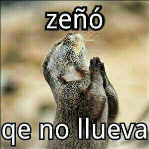 Zeñó qe no llueva