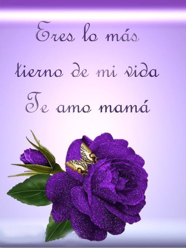 Te amo mamá