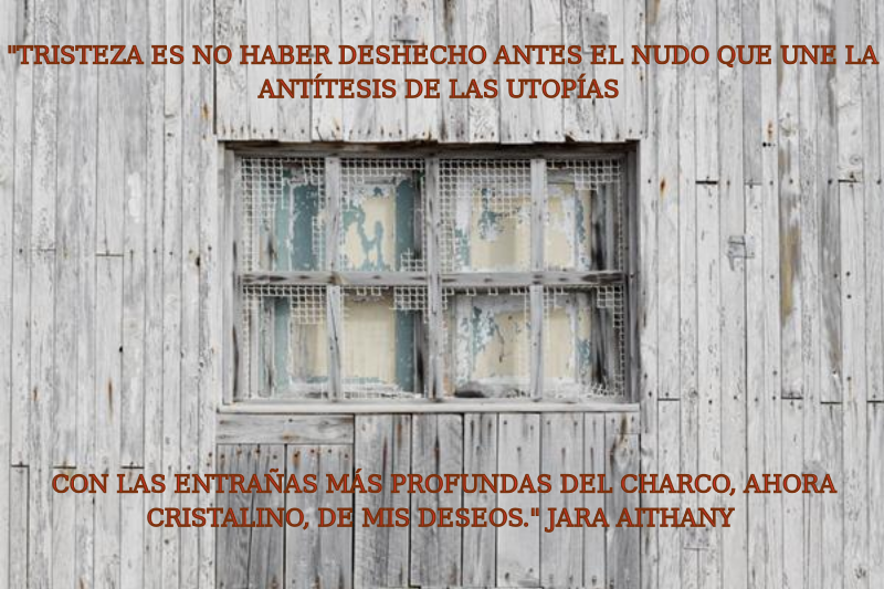 Tristeza es no haber deshecho antes el nudo que une la antítesis de las utopías