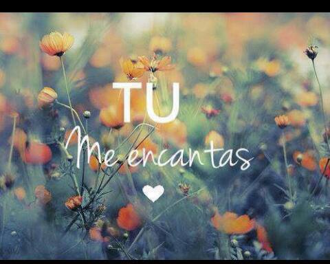 Tú me Encantas