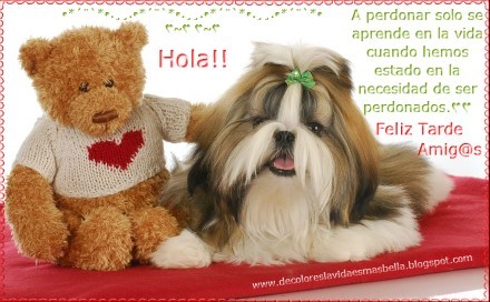 Hola Feliz Tarde Amig@s