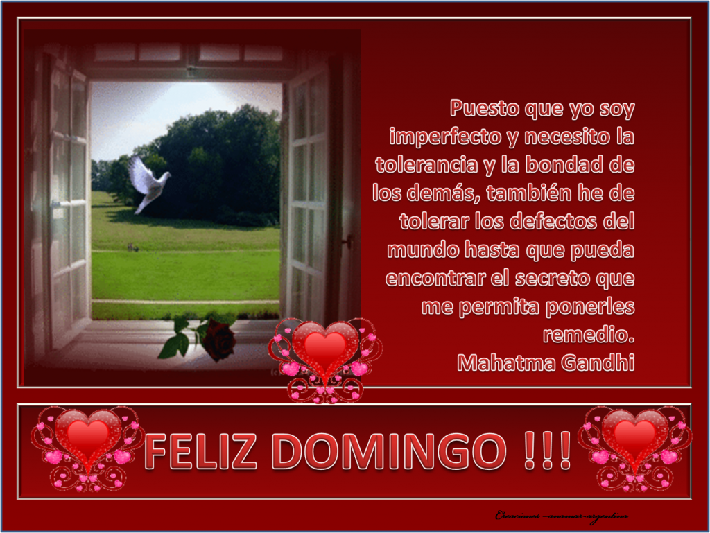 Feliz Domingo