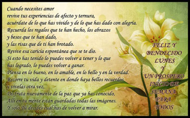 Reflexión