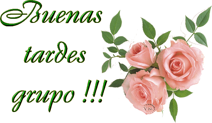 Buenas Tardes Grupo