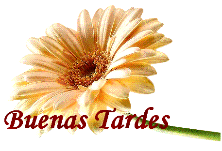 Buenas Tardes