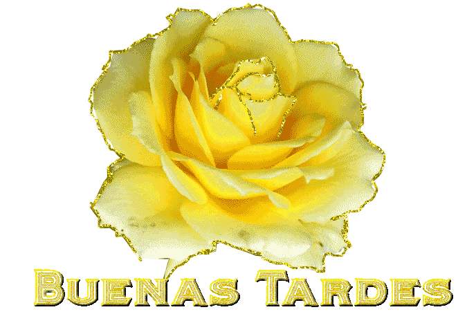Buenas Tardes
