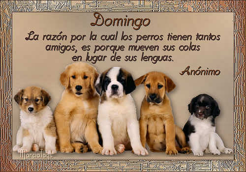 Feliz Domingo
