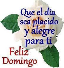 Feliz Domingo