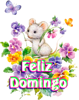 Feliz Domingo
