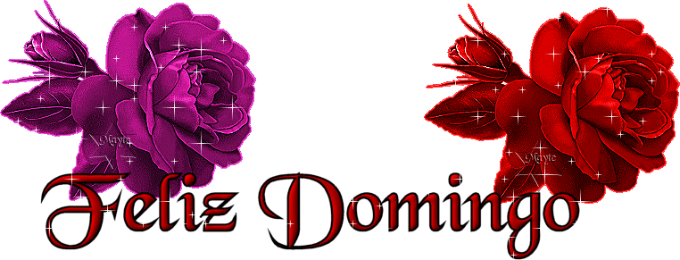 Feliz Domingo