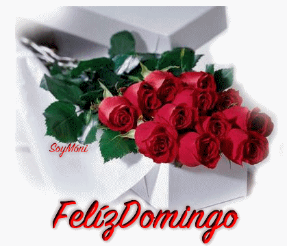 Feliz Domingo