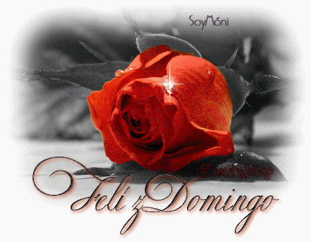 Feliz Domingo