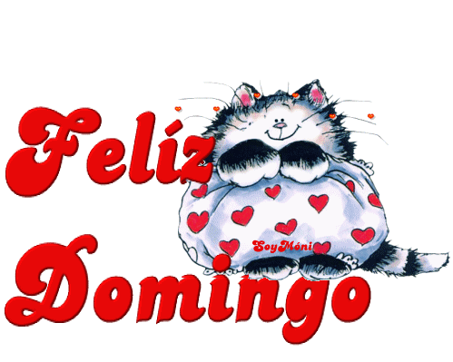 Feliz Domingo