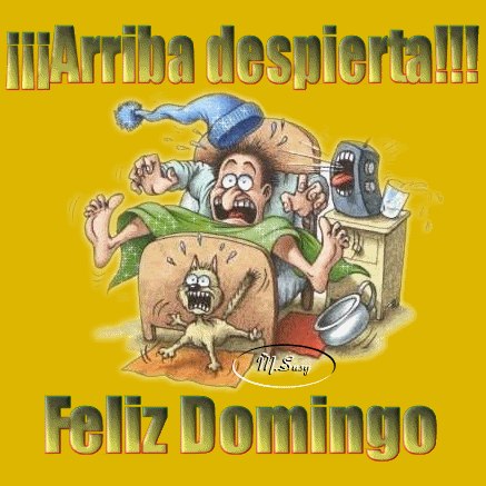 Arriba despierta. Feliz Domingo