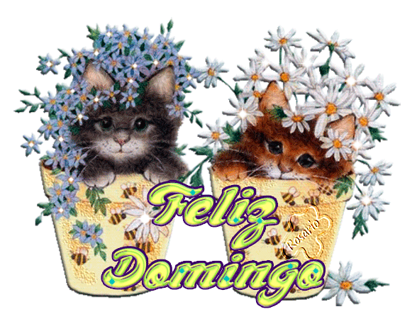 Feliz Domingo