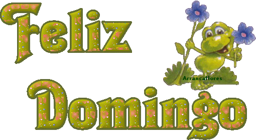 Feliz Domingo