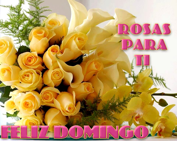 Feliz Domingo. Rosas para tí.