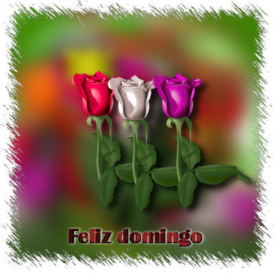 Feliz Domingo