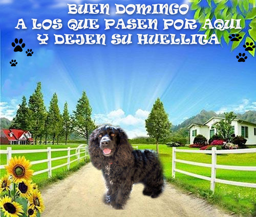 Buen Domingo