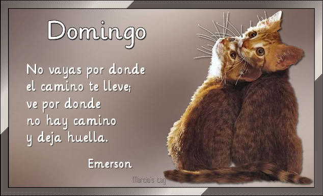 Feliz Domingo