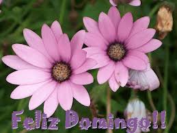Feliz Domingo