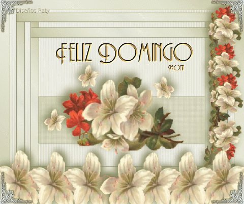 Feliz Domingo