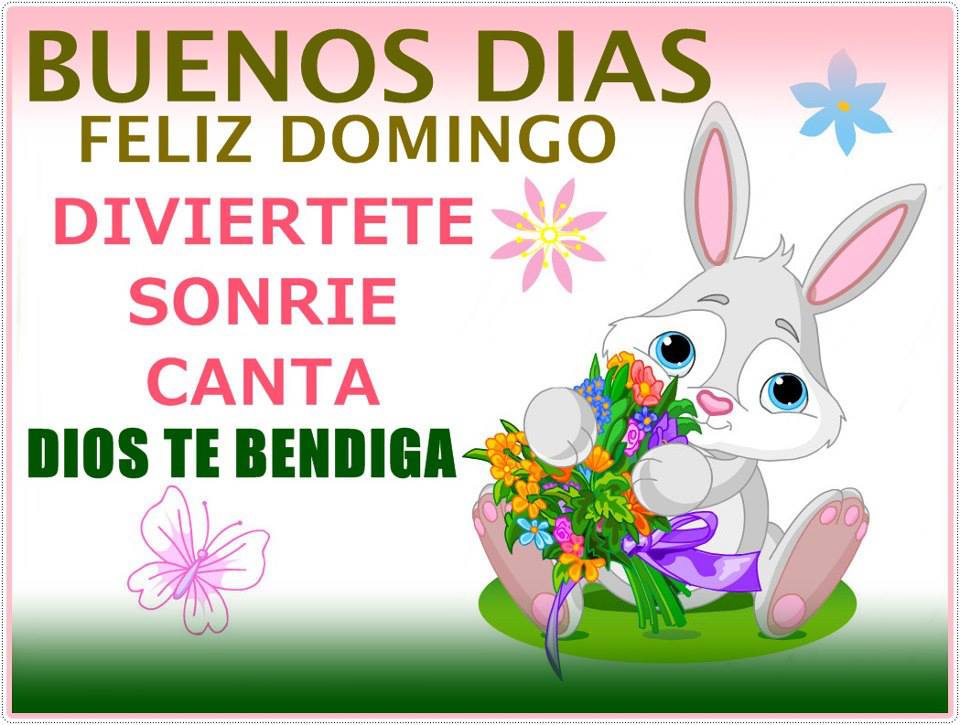 Buenos Días. Feliz Domingo.