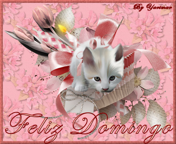 Feliz Domingo