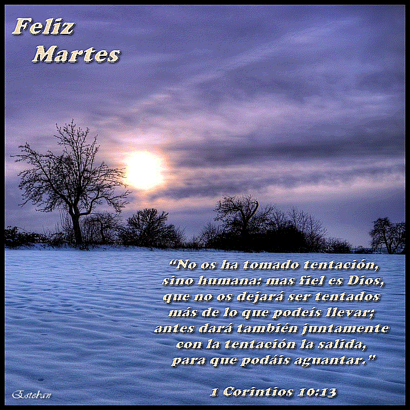 Feliz Martes