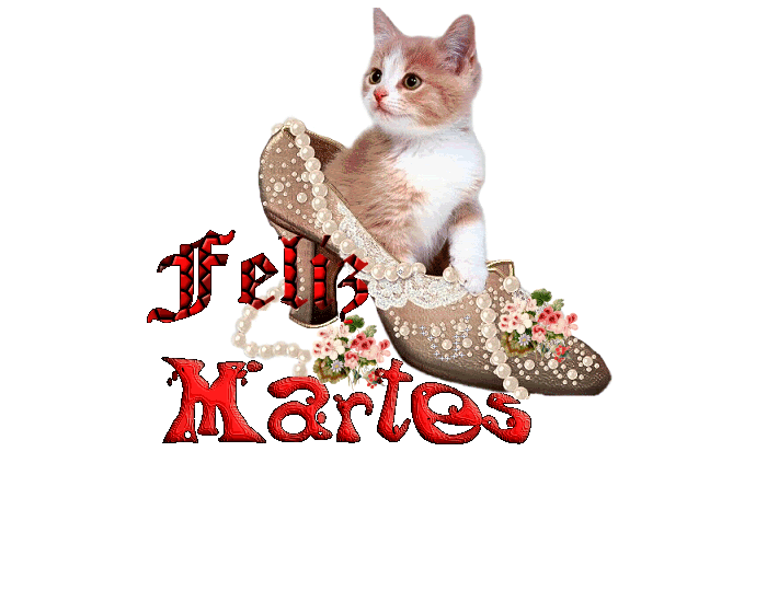 Feliz Martes