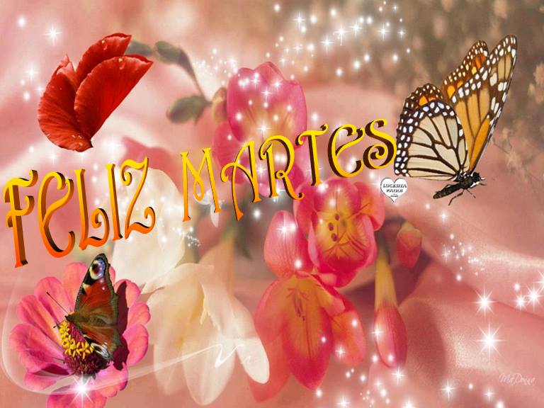 Feliz Martes