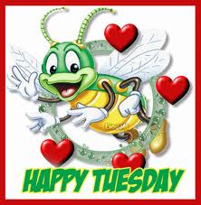 Happy Tuesday