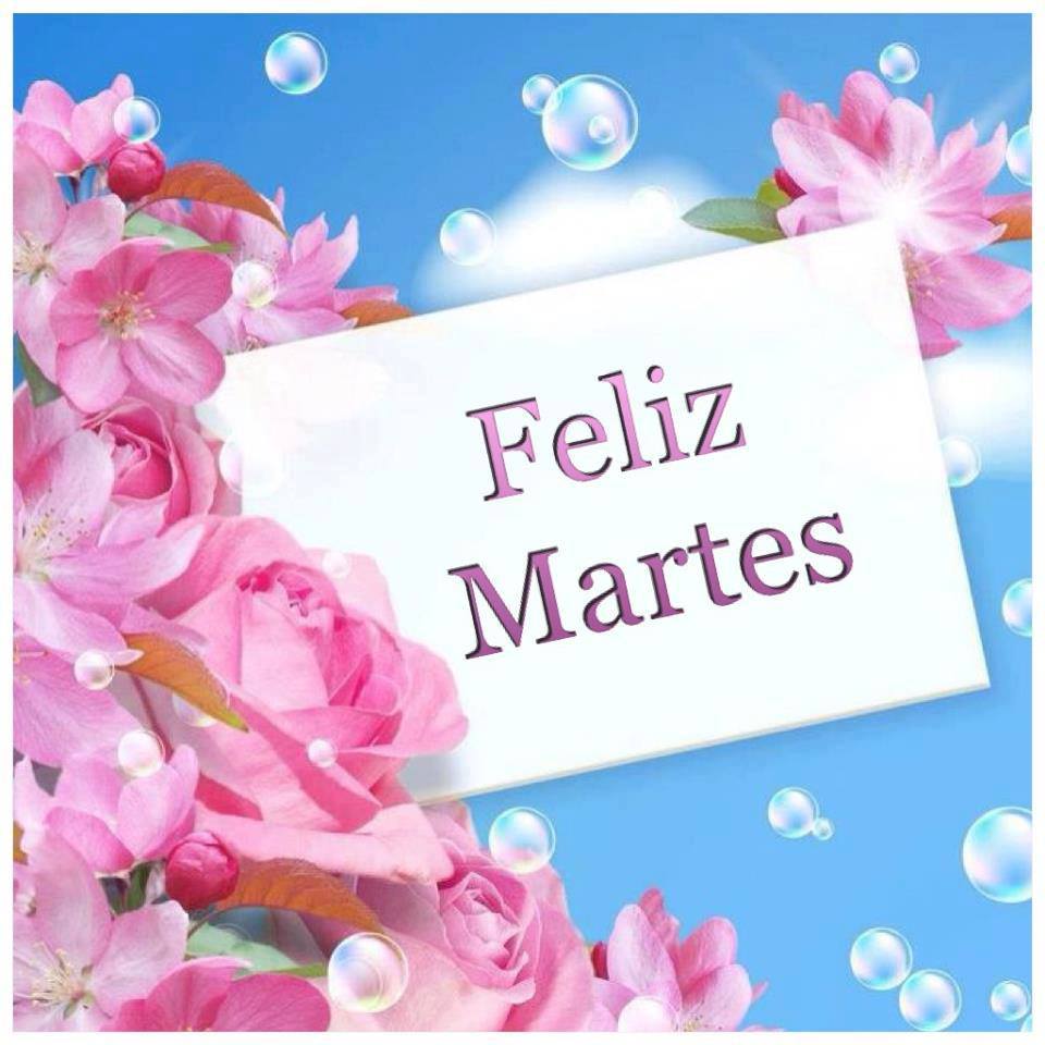 Feliz Martes