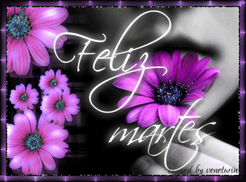 Feliz Martes