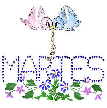 Martes