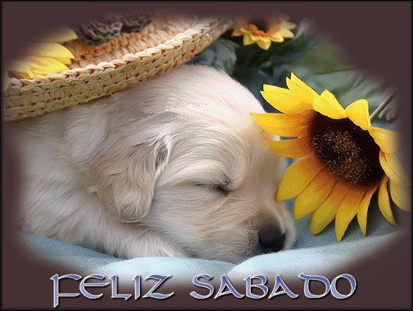 Feliz Sábado