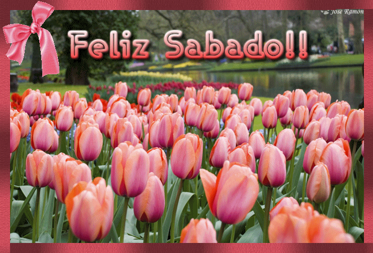 Feliz Sábado