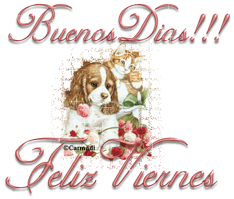 Feliz Viernes