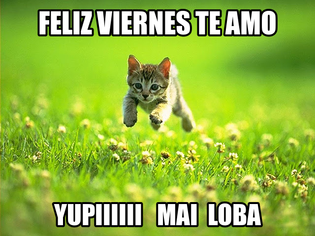 Feliz Viernes. Te Amo. Yupiiii mai loba.