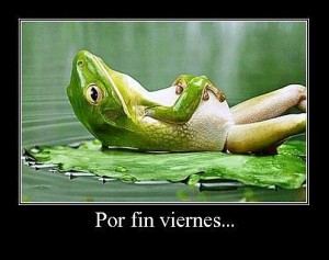Por fin Viernes