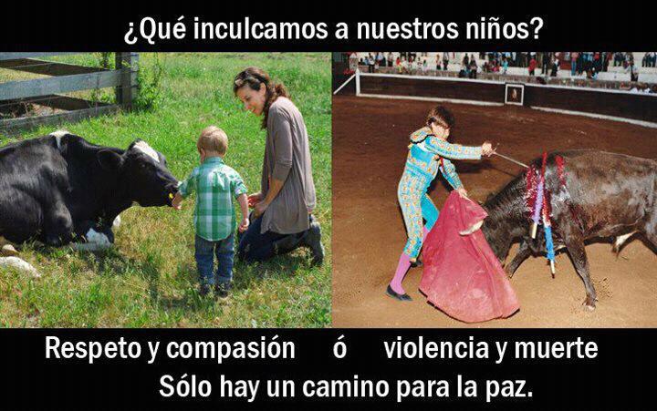 Qué inculcamos a nuestros hijos. Respeto y compasión o violencia y muerte. Sólo hay un camino para la paz.