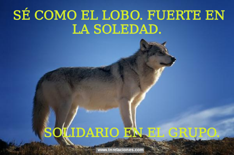 Sé como el Lobo - TnRelaciones - La vida misma