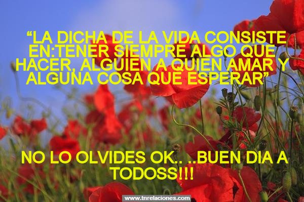 Vida