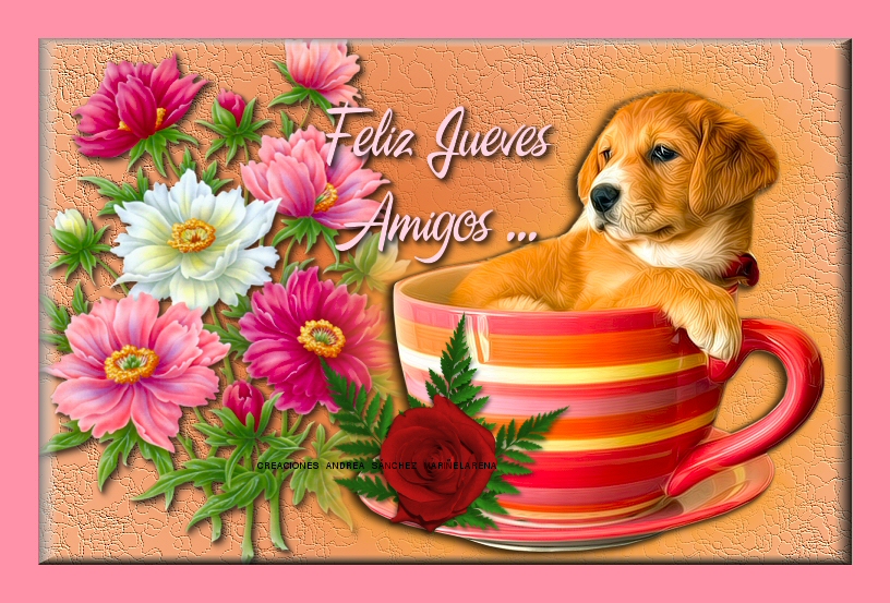 Feliz Jueves Amigos..