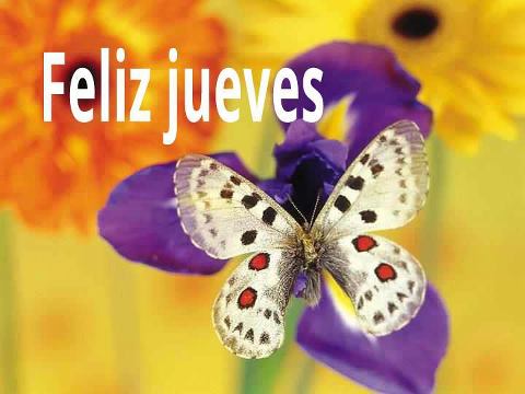 Feliz Jueves