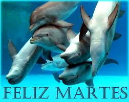 Feliz Martes