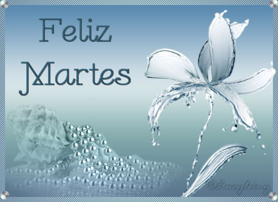 Feliz Martes