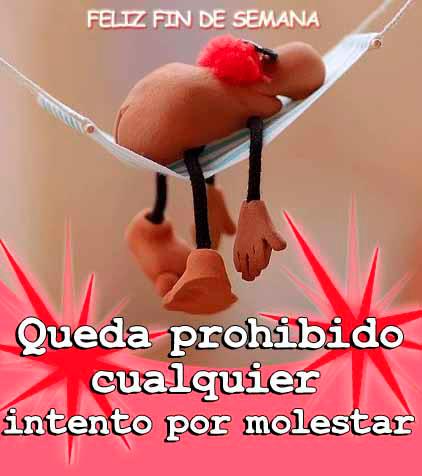 Feliz Fin de Semana. Queda prohibido cualquier intento de molestar.