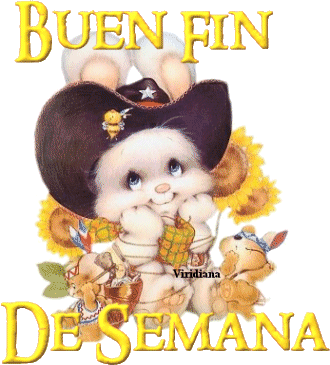 Buen Fin de Semana